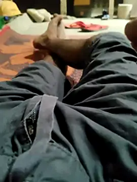 Bengali_BULL1 webkamerás műsora