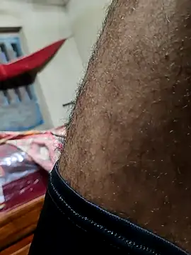 Bengali_BULL1 Webcam-Show