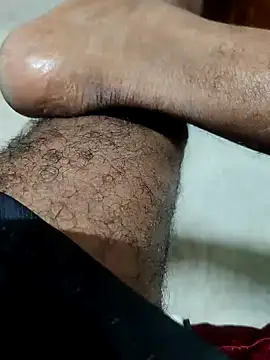 Bengali_BULL1 Pertunjukan Webcam