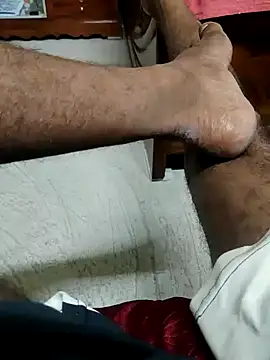 Bengali_BULL1 Webcam-Show
