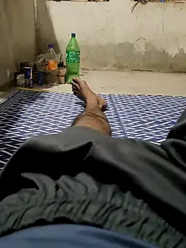 Bengali_BULL1 – webcam-show