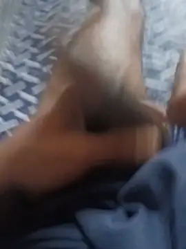 Bengali_BULL1 – webcam-show