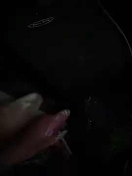 angelasmn Webbikameraesitys