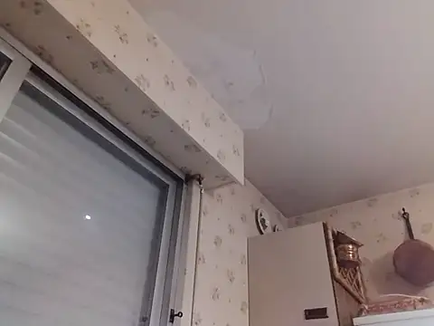 Chnrt Pertunjukan Webcam