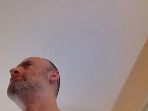 عرض كام Chnrt