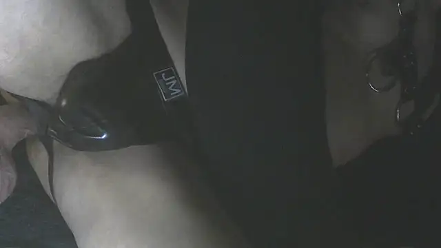 Show de MeldingSociety na webcam