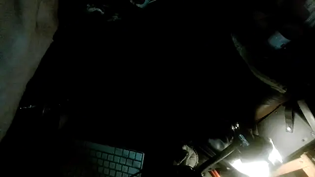 MeldingSociety Шоу с уебкамера