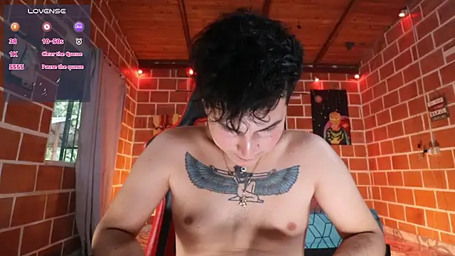 Show webcam de Ryan_picato