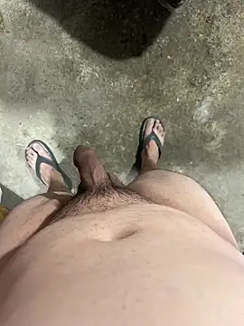Show webcam de maudarks