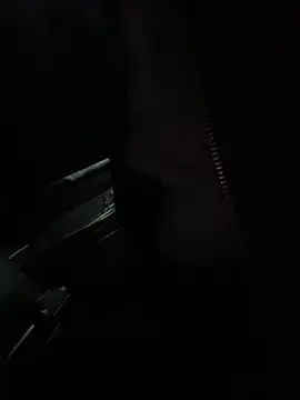 RebelReignのウェブカメラショー