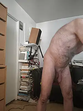 Show Webcam de briochin
