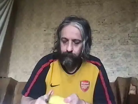 Show modela -TrafoX3- na web-kameri