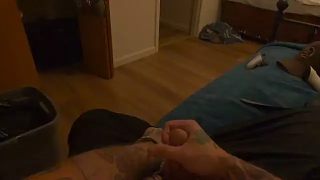 Livingpuddle Webcam show