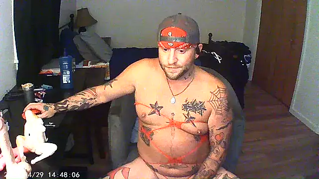 Show Webcam de Livingpuddle