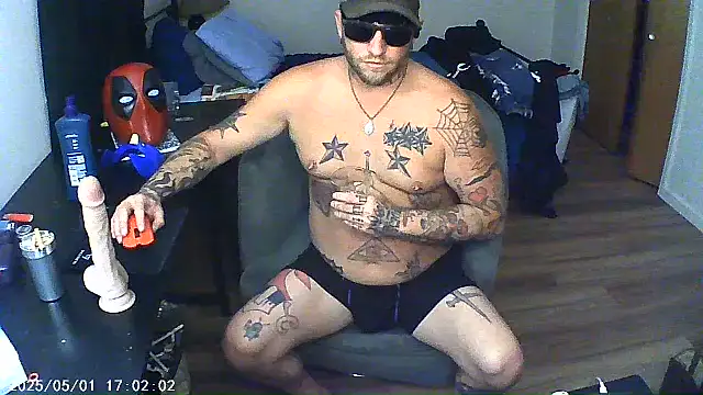 Show webcam de Livingpuddle