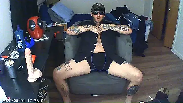 Show webcam de Livingpuddle