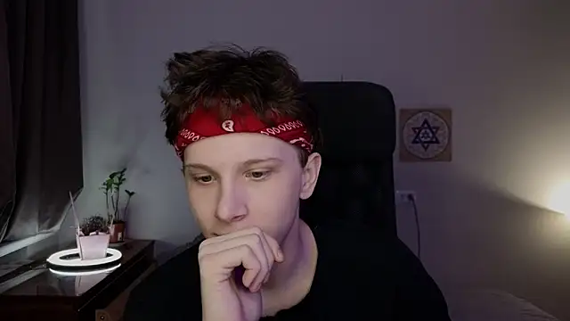 عرض كام arlekincrop