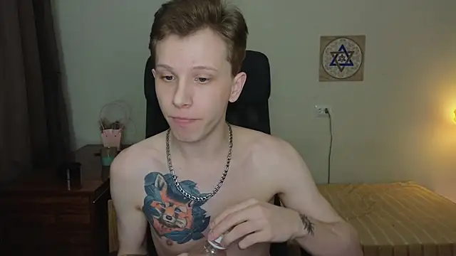 Show Webcam de arlekincrop