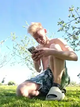 Vuitton's Webcam Show