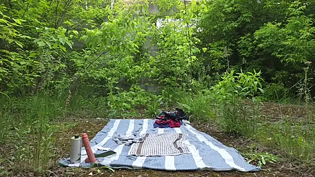 Vuittonn Webbikameraesitys