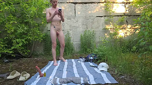 Vuitton Show in webcam