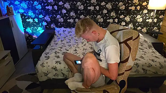 Vuitton Show in webcam