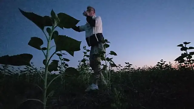 Вебкам-шоу Vuitton