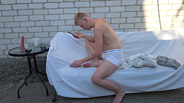 Vuitton Webcam-Show