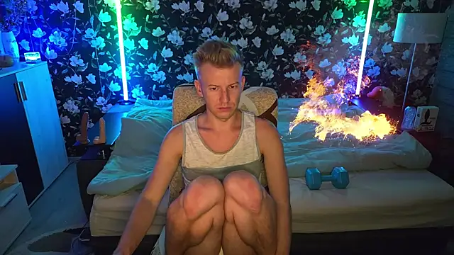 Show webcam de Vuitton