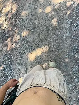 Vuitton Webcam-Show