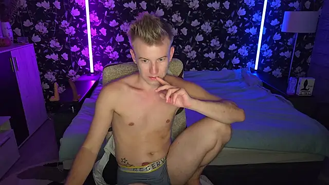 Show webcam de Vuitton