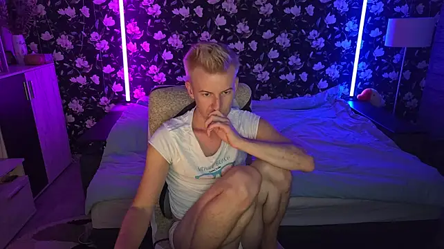 Show Webcam de Vuitton