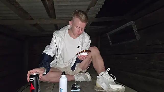 הופעת וובקאם של Vuitton