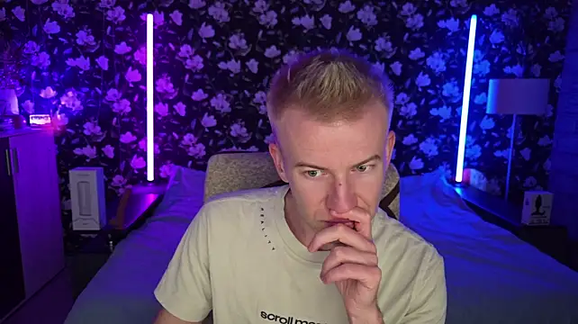 Show Webcam de Vuitton
