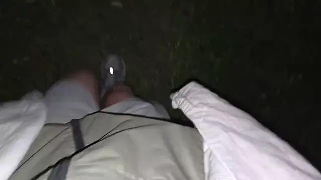Vuitton Webcam-Show