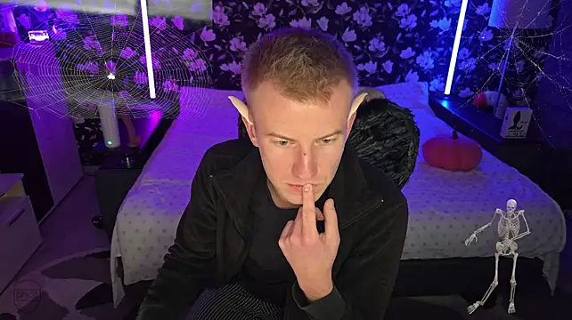 הופעת וובקאם של Vuitton