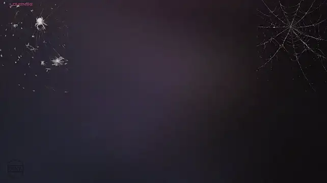Show de Vuitton na webcam