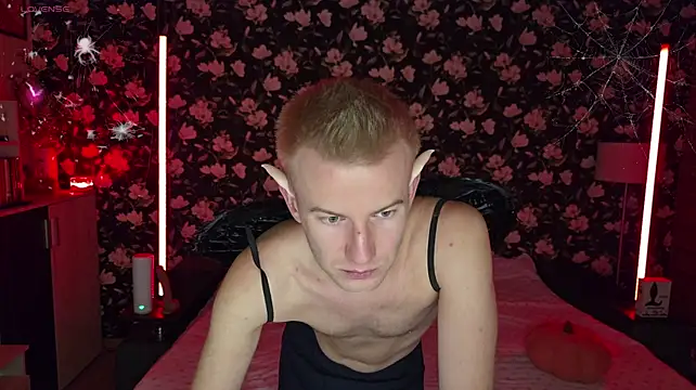 Show modela Vuitton na web-kameri