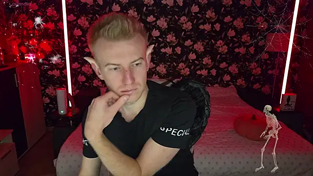 Show de webcam de Vuitton