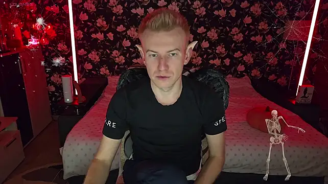 Vuitton Show in webcam
