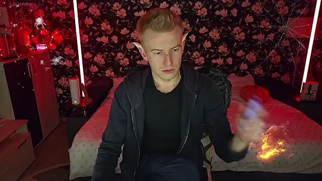 Vuitton Show Webcam