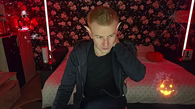 Vuitton Show Webcam