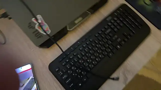 Vuitton Webcam-Show