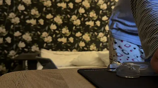 Vuittonのウェブカメラショー