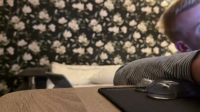 Vuittonn Webbikameraesitys