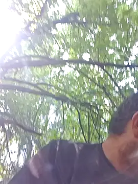 TryingWindのウェブカメラショー