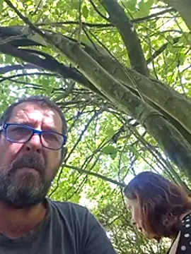 TryingWind 网络视讯表演