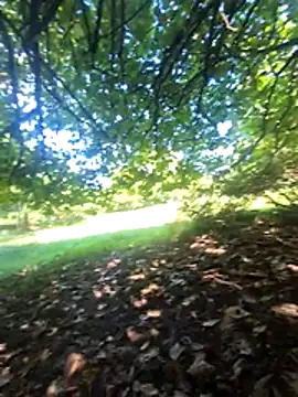 TryingWind Show in webcam