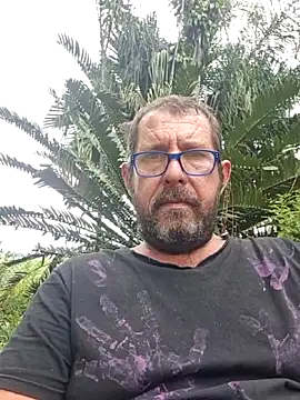 TryingWindのウェブカメラショー