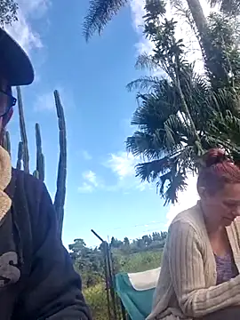 TryingWind Show Webcam
